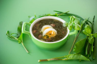 İştah açıcı bahar doru borş yeşil arka planda izole.