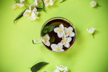 Yukarıdan izole edilmiş yasemin çiçekleriyle taze demlenmiş çay..