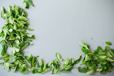 Soğuk tonlu arka planda yukarıdan bir demet nane..