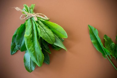 Doğal dokusu olan kırsal bir kuş..