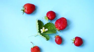 Yukarıdan mavi arka planda olgun kırmızı çilekler..