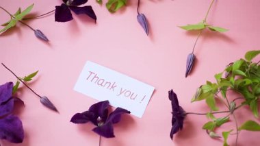 Pembe arka planda mor klematis çiçeğinin makro fotoğrafçılığı.