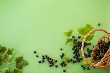 Yeşil arka planda yaz taze kuşüzümü.