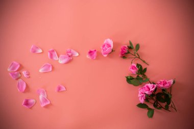 Arkaplan ve metin için güllerle çiçek düzenleme.