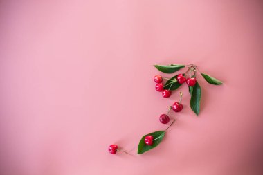 Olgun kirazlar pembe arka planda izole edilmiş..