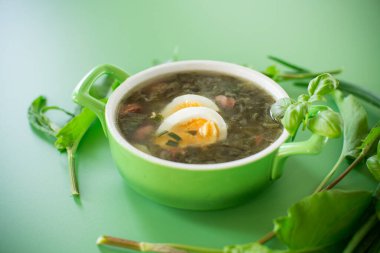 Yeşil arka planda haşlanmış yumurta ve taze doru ev yapımı yeşil borş çorbası.