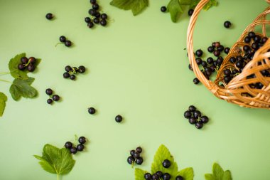 Yeşil arka planda bir sepetin yanında frenk üzümü var..