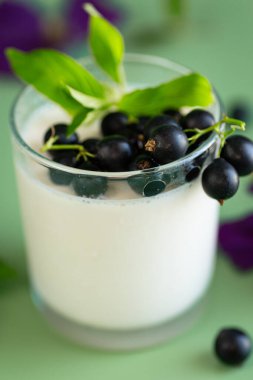 Parlak yeşil arka planda kuşüzümlü doğal yoğurt..