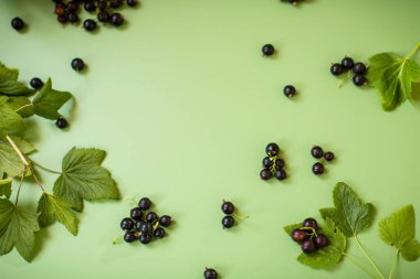 Yeşil arka planda kuşüzümü yakından çekilmiş..