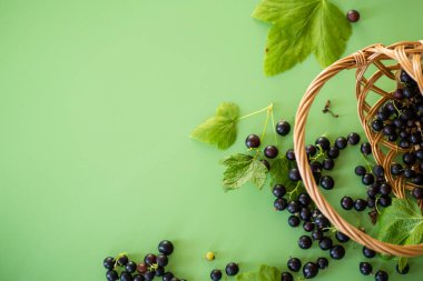 Sepette doğal frenk üzümü ve yeşil arka planda dağınık..