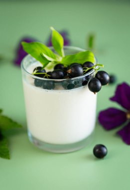 Yoğurt ve kuşüzümlü taze sağlıklı kahvaltı..