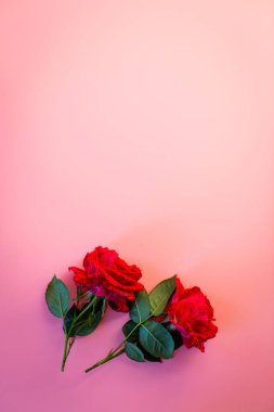 İki kırmızı güllü çiçek aranjmanı.