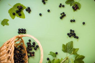 Olgun kuşüzümü yeşil arka planda bir sepette.