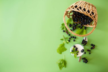 Minimalizmde kremalı kuşüzümü tatlısı.