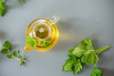 Doğal yeşil çay, gri arka planda cam bitkiler..