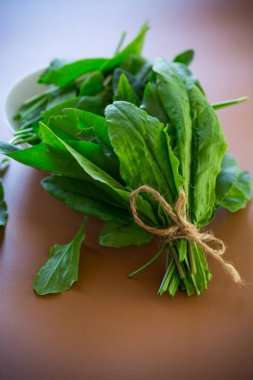 Kahverengi arka planda taze kuş sürüsü.