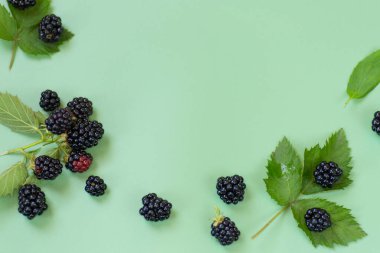 Yeşil arka planda minimalist tarzda taze böğürtlen ve yapraklar..