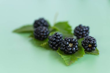 Yeşil arka planda yansıması olan taze böğürtlen.