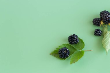 Yansımalı taze böğürtlenler, üst manzara.