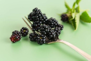 Yeşil arka planda yeşil böğürtlen.