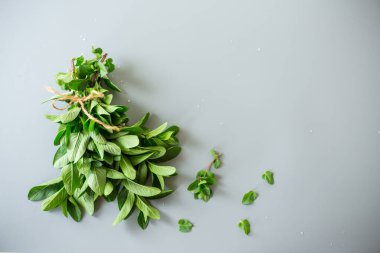 Gri yüzeyde doğal taze nane..