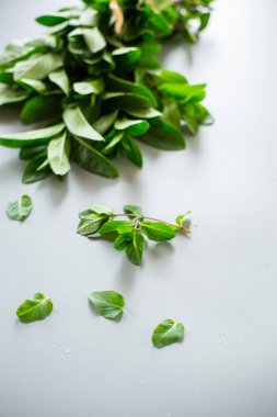 Soğuk tonlu arka planda yukarıdan bir demet nane..