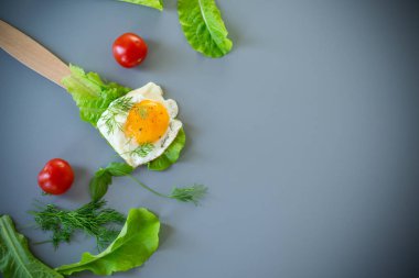 Gri arka planda ahşap spatulada yeşil yumurta..