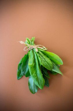 Sağlıklı beslenmek için yeşil kuş yaprakları..