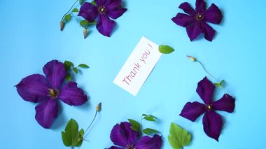 mavi arkaplanda mor klematis dalı.