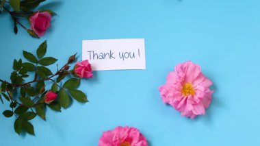 Mavi arka planda pembe bahçe gülleri.