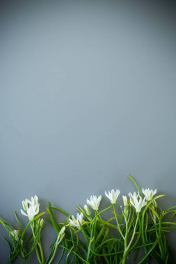 Gri arkaplanda en az kar yağışı düzenleme.