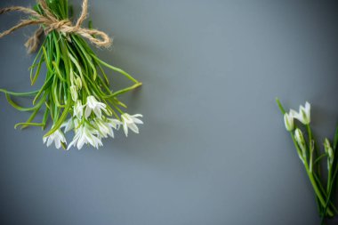 Pastel yüzeyde bahar çiçekleri.