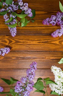 Ahşap zemin üzerindeki leylak doğal ışık ve metin için boşluk.