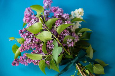 Mavi arka planda beyaz ve mor leylak demeti.