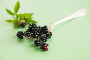 Makro biçimli olgun böğürtlenler, üst görünüm.