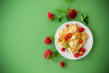 Yeşil arka planda beyaz tabakta süzme peynirli Ukrayna krepleri.