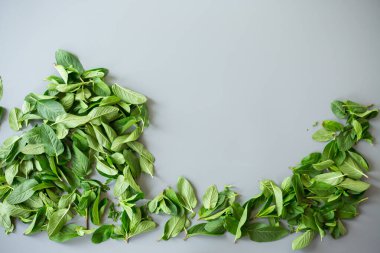 Yeşil nane yaprakları taş arkaplanda yakın plan.