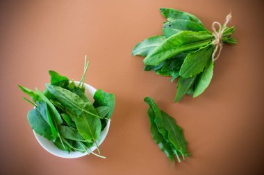 Doğal dokusu olan kırsal bir kuş..