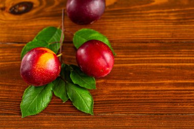 Metin için yeri olan organik tarım erikleri.