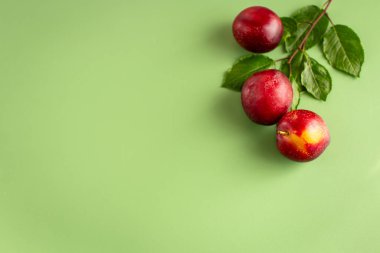 Üç sulu erik, masanın üzerinde kızarıklık var..