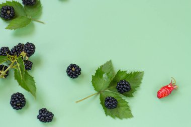 Yeşil arka planda minimalist tarzda taze böğürtlen ve yapraklar..