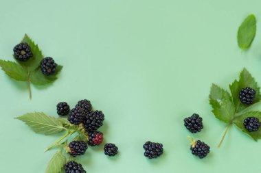 Beyaz arka planda böğürtlen, yeşil arka planda hafif bir yansıma..