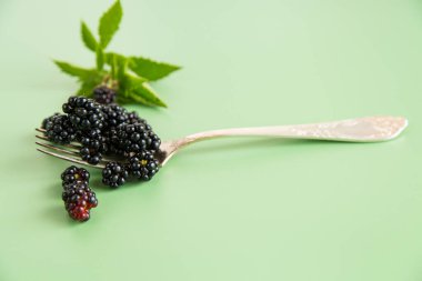 Makro biçimli olgun böğürtlenler, üst görünüm.