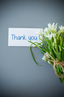 Pastel yüzeyde bahar çiçekleri.