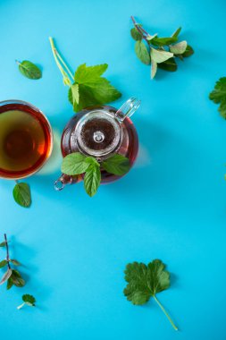 Taze nane ve frenk üzümü yapraklarından doğal yeşil çay.
