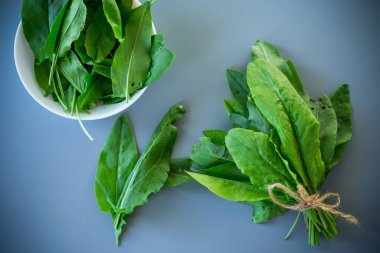 Gri arkaplanda taze kuş sürüsü.