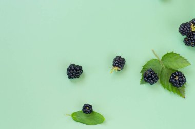 Yeşil yapraklı olgun böğürtlenler.