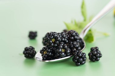 Yeşil arka planda yeşil böğürtlen.