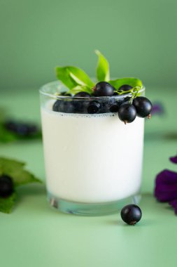 Frenk üzümü ve yeşil arka planda şeffaf bir bardakta ev yapımı yoğurt..