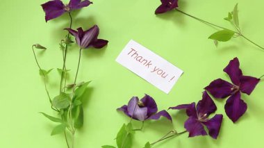 Yeşil yüzeyde yukarıdan mor klematis çiçeği.